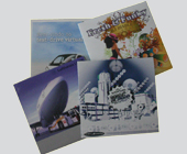 CD / DVD Kartonstecktasche